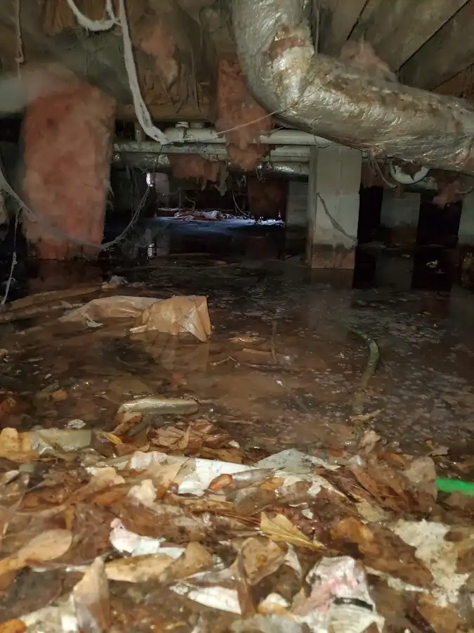 Crawl space flood assessment for Leak Detection & Repair in Margate City