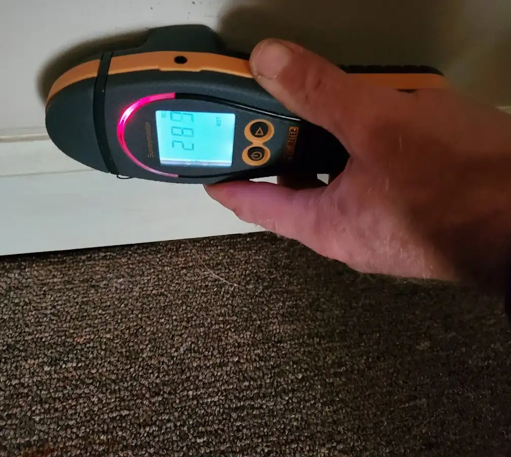 Moisture detection at baseboard during Mold Inspection & Testing in Margate City